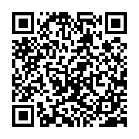 QR code for ZXT507