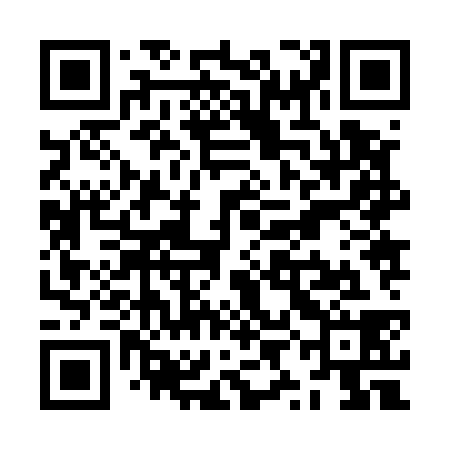 QR code for ZYJ538