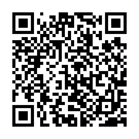 QR code for ZYL693