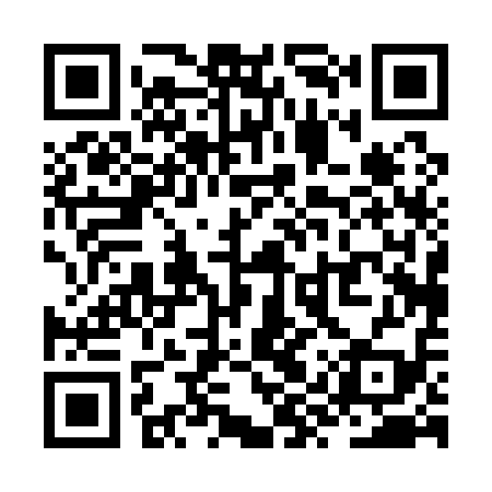 QR code for ZYP119