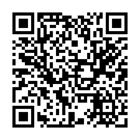 QR code for ZYP925