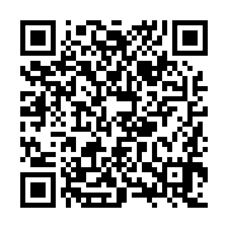 QR code for ZYZ095