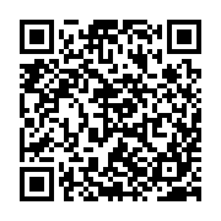 QR code for ZZA384