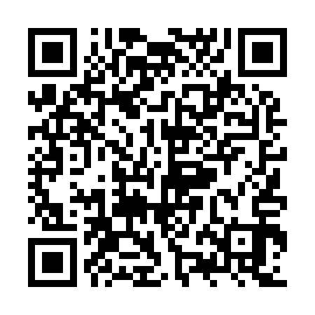 QR code for ZZD913