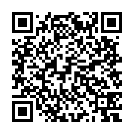 QR code for ZZG538