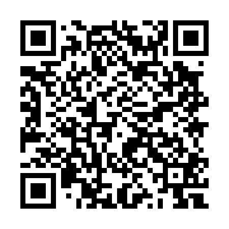 QR code for ZZI001