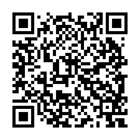 QR code for ZZL286