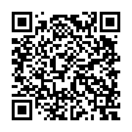 QR code for ZZM483