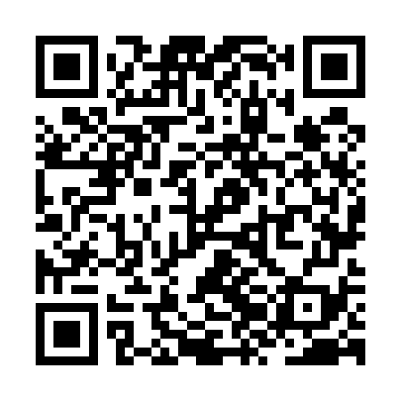 QR code for ZZN579