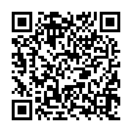 QR code for ZZS916