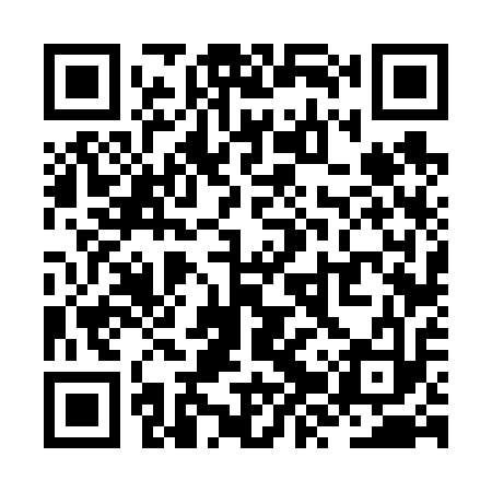 QR code for ZZV613