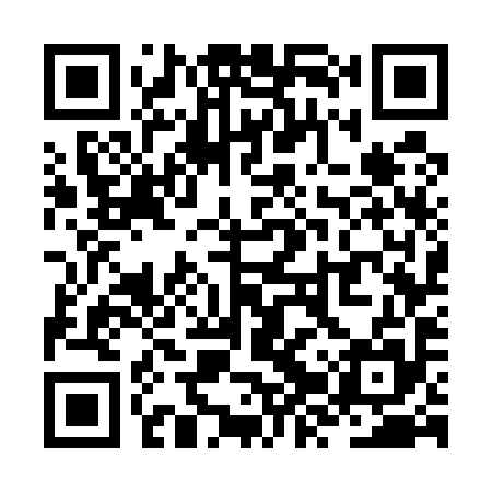 QR code for ZZW595