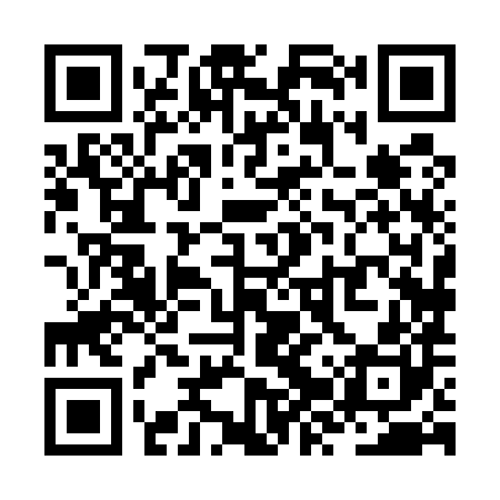 QR code for ZZX580