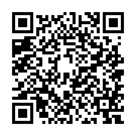 QR code for AAE3851