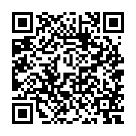 QR code for AAE3866