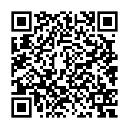 QR code for AAN0376