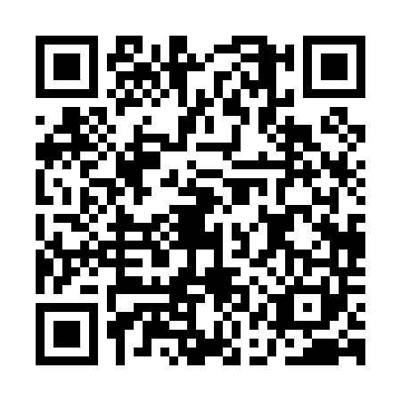 QR code for AAP0410