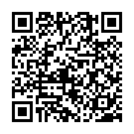 QR code for AAV0319