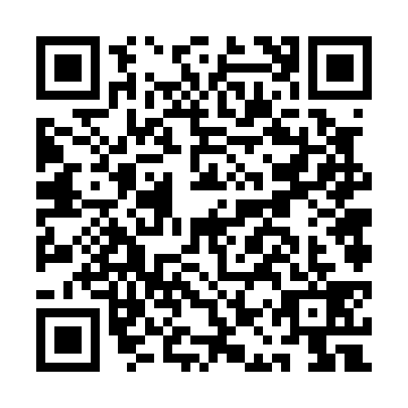 QR code for AAV0399