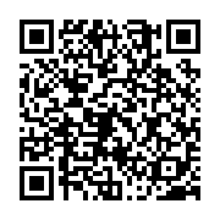 QR code for ACE2992