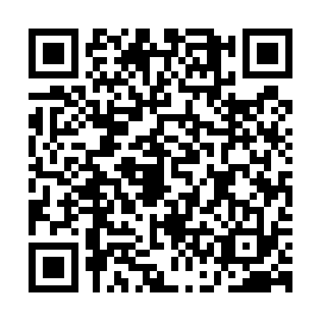 QR code for ACE5339