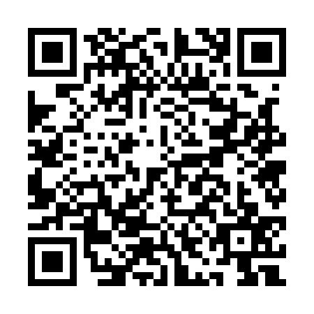 QR code for AIG1370