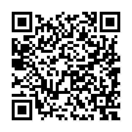 QR code for ALT9955