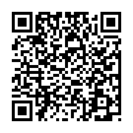 QR code for ALV1919