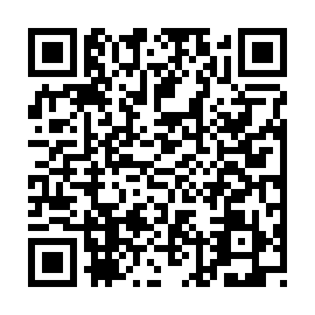 QR code for ALV2994