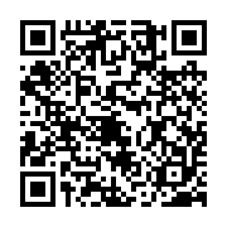 QR code for AMQ2929