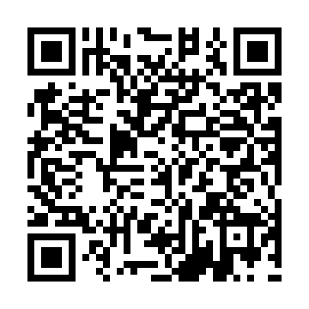 QR code for ANM3881