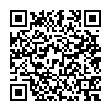 QR code for ANP0306