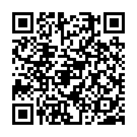 QR code for ANR2384