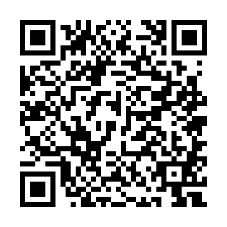 QR code for ANU3811