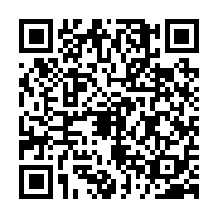QR code for API2197