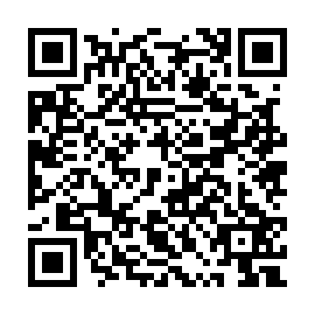 QR code for APJ1238