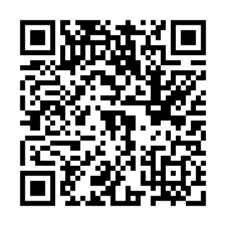 QR code for APL6383