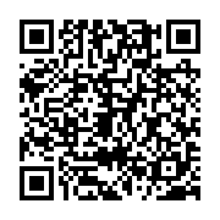 QR code for ARM2951