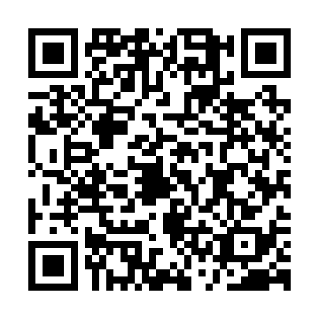 QR code for ASM2383