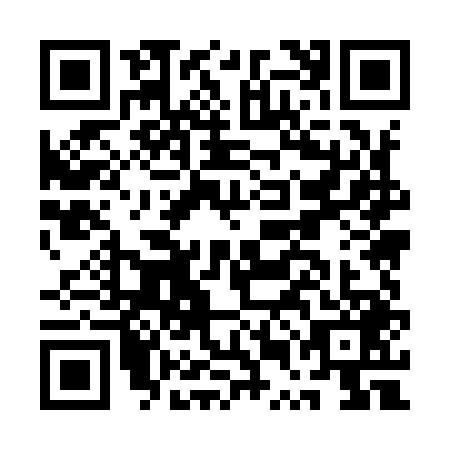 QR code for AUM9496