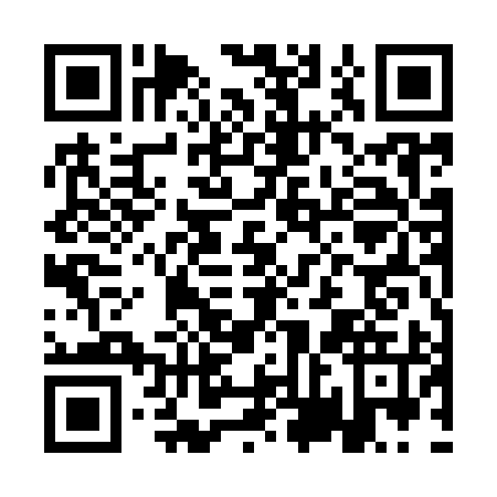 QR code for AVE9955