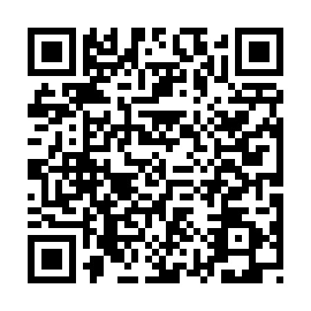 QR code for AYP4028