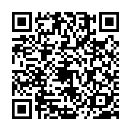 QR code for AYS1295