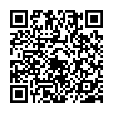 QR code for AYY3394