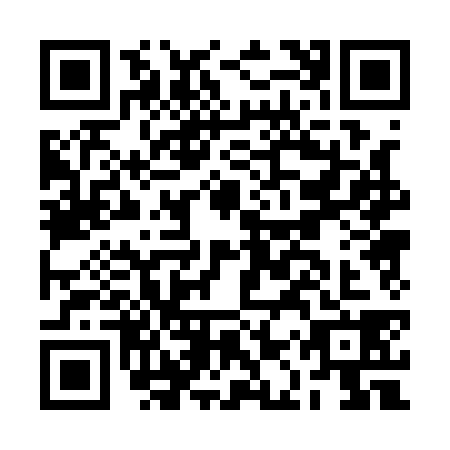 QR code for BAP1381