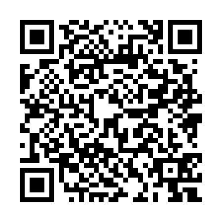 QR code for BDX7313