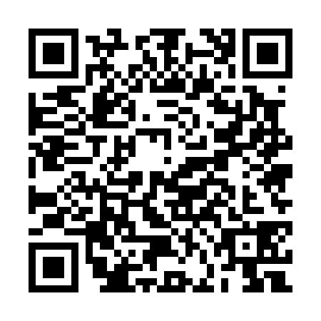 QR code for BFE0387
