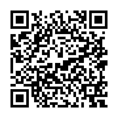 QR code for BFI1919