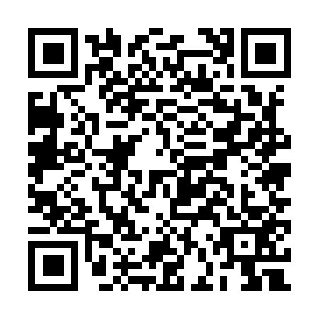 QR code for BFU9533