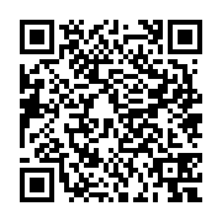 QR code for BFZ6384